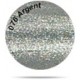 N°76 ARGENT 10 ml