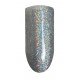 POUDRE CHROME 007 HOLOGRAPHIQUE